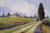 Holiday in Tuscany Prints by Hawley Holiday in Tuscany Prints by Hawley