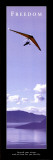 Freedom: Hang Glider Posters