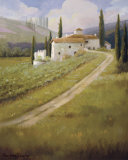 Tuscany Vineyard Posters by Hawley Tuscany Vineyard Posters by Hawley
