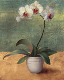 Mille Fleurs II Posters