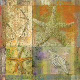 Starfish Collage Print by Pierre Fortin