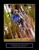Persistence:  Dirt Bike Kunstdrucke