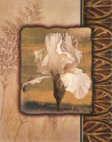 White Iris Posters by T. C. Chiu
