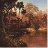 Myakka Sunset Stretched Canvas Print by Malarz