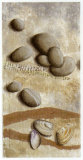 Galets Bleus et Coquillages Posters by Véronique Didier-Laurent Galets Bleus et Coquillages Posters by Véronique Didier-Laurent