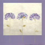 Hortensias Posters