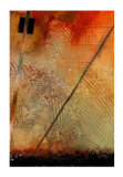 Arial View Study II Limited Edition by Herbert Davis