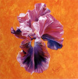 Un Amour d'Iris Prints by Anne Frémin Besombes