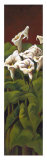 Callas I Limited Edition by Aurora Heuple