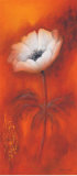 Anemone I Print by Betty Jansma