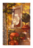 The Evening Sun Limited Edition by Fabrice Alberti