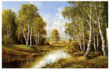 Birches in Springtime Posters av H. Buchner