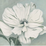 White Poppy Póster por Franz Heigl