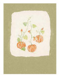 Vegetables II Prints