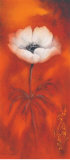 Anemone II Prints by Betty Jansma