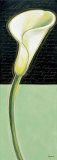 White Lily Print by Chantal Godbout
