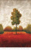 November Dreams II Print