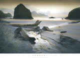 She Sleeps In the Sand Prints by William Vanscoy
