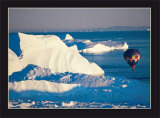 Illulissat Groenland Kunst av Georges Bosio Illulissat Groenland Kunst av Georges Bosio