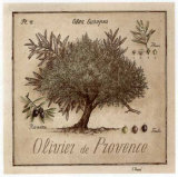 Olivier de Provence Posters par Vincent Perriol