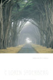 Corridor of Cypress Posters par Soderberg 