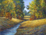 Wondering Creek Poster by Vicki Asp