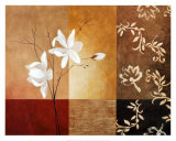 Budding Magnolia Poster by Fernando Leal