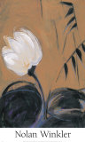 White Blossom III Posters by Winkler 