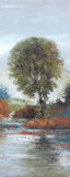 Country Maple Prints by Diann Haist