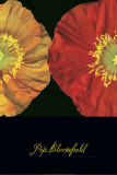 Red and Yellow I Lámina por Pip Bloomfield Red and Yellow I Lámina por Pip Bloomfield