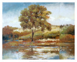 Whispering Maple Art by Diann Haist