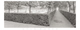 Hornbeam Harbor Prints by Gomes 