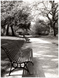 April in Paris Poster von Toby Vandenack