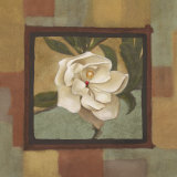 Magnolia en flor II Láminas por Cooper Magnolia en flor II Láminas por Cooper