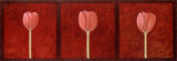 Les Trois Tulipes Prints by Olvia Celest Les Trois Tulipes Prints by Olvia Celest