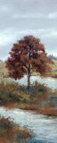 River Elm Posters by Diann Haist