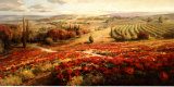Red Poppy Panorama Pósters por Roberto Lombardi Red Poppy Panorama Pósters por Roberto Lombardi
