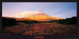 Kamtchatka, Russie Posters av Georges Bosio Kamtchatka, Russie Posters av Georges Bosio