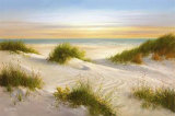 Golden Sunset I Prints by B. Smith