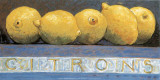 Les Citrons Art by Morlaine 