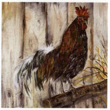 Coq et Branche d'Arbre Print by Clauva 