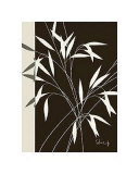 Whispering Bamboo I Prints by Franz Heigl