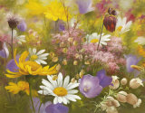 Potpourri of Flowers I Prints by Fasani 