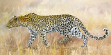 Ruppert Part A la Chasse Pósters por Danielle Beck Ruppert Part A la Chasse Pósters por Danielle Beck