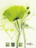 Coquelicot Vert I Posters by Marthe 
