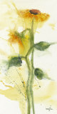 Tournesol II Kunstdrucke von Marthe 