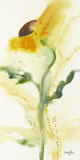 Tournesol I Plakater af Marthe
