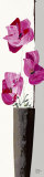 Composition Rose I Prints by Bernard Ott