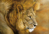 Danielle Beck - Lion du Serengeti - Reprodüksiyon