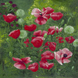 Coquelicots et Pissenlits Prints by Jordane D. Grux